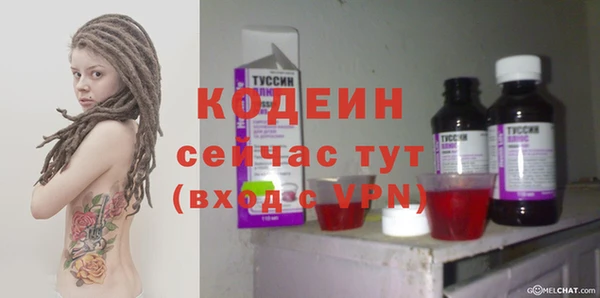 молекула духа Каменск-Шахтинский