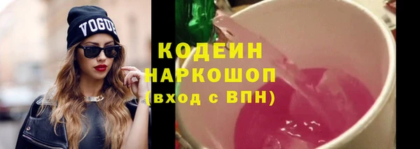 молекула духа Каменск-Шахтинский