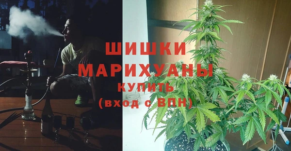 COCAINE Каменка