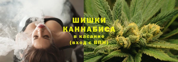 ГАЛЛЮЦИНОГЕННЫЕ ГРИБЫ Каменногорск